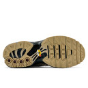 Кросівки Nike Air Max Plus Wheatgrass DZ4501-700 Бежевий