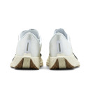 Кросівки Nike Pegasus Plus Sail Orewood Anthracit FQ7262-100 Бежевий