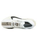 Кросівки Nike Pegasus Plus Sail Orewood Anthracit FQ7262-100 Бежевий