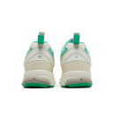 Кросівки New Balance 2002R x GANNI Turtledove M2002RGC Різнокольорові