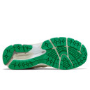 Кросівки New Balance 2002R x GANNI Turtledove M2002RGC Різнокольорові