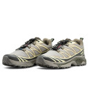 Кросівки Salomon XT-6 Gore-Tex Beige Grey Бежевий/сірий