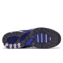 Кросівки Nike Air Max Plus Drift Concord FD4290-007 Сірий/синій