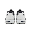 Кросівки Nike Air Max Plus Drift White Silver Black FD4290-101 Чорний/білий