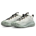 Кросівки Nike ACG Mountain Fly 2 Low Gore-Tex Phantom Light Silver HF6245-003 Білий/сірий
