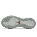 Кросівки Nike ACG Mountain Fly 2 Low Gore-Tex Phantom Light Silver HF6245-003 Білий/сірий