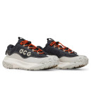 Кросівки Nike ACG Mountain Fly 2 Low Gore-Tex Dark Smoke Grey HF6245-002 Чорний/білий