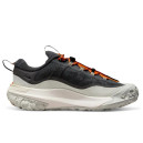 Кросівки Nike ACG Mountain Fly 2 Low Gore-Tex Dark Smoke Grey HF6245-002 Чорний/білий