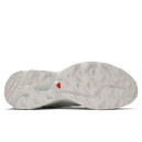 Кросівки Salomon XT-6 Advanced White Lunar Rock L41252900 Білий/сірий
