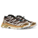 Кросівки Salomon XT-6 Advanced Wren Kangaroo L41395000 Коричневий