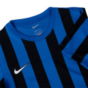 Футболки Футболка Nike NK DF STRP DVSN IV JSY SS CW3816-463 Cиній