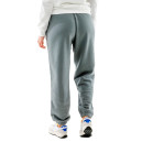 Штани Nike NS PHNX FLC HR OS PANT PRNT FN7716-084 Серый