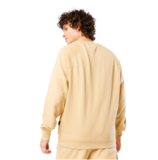 Світшот Nike AIR FT HOODIE DV9829-252