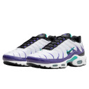 Кросівки Nike Air Max Plus Grape DM0032-100 Різнокольорові