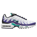 Кросівки Nike Air Max Plus Grape DM0032-100 Різнокольорові