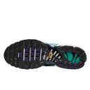 Кросівки Nike Air Max Plus Grape DM0032-100 Різнокольорові