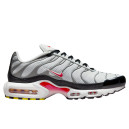 Кросівки Nike Air Max Plus White Grey Black DM0032-002 Сірий