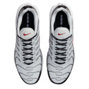 Кросівки Nike Air Max Plus White Grey Black DM0032-002 Сірий