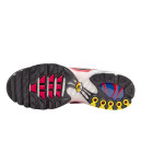 Кросівки Nike Air Max Plus White Grey Black DM0032-002 Сірий