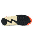 Кроссовки Nike Air Max 90 Mountaineering CZ9078-784 Разноцветные