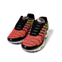 Кроссовки Nike Air Max TN Plus Green Strike Flash Crimson Разноцветные