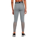 Спортивний одяг Легінси Nike 365 TIGHT CZ9779-084 Сірий