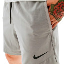 Шорти Шорти Nike NP FLEX REP SHORT 2.0 NPC CU4991-073 Сірий