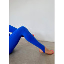 Sportswear Легінси Сині зі Штрипками Blue