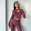 Sportswear Кроп Топ з Довгим Рукавом Марун Burgundy