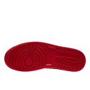 Кросівки Jordan 1 Mid SE USA 852542-104 Різнокольорові