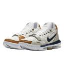Кросівки Nike LeBron 16 Air Trainer Medicine Ball CD7089-100 Різнокольорові