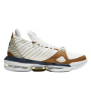Кросівки Nike LeBron 16 Air Trainer Medicine Ball CD7089-100 Різнокольорові