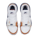 Кросівки Nike LeBron 16 Air Trainer Medicine Ball CD7089-100 Різнокольорові