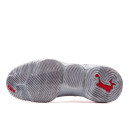 Кросівки Nike LeBron 16 Wolf Grey CI2668-003 Сірий