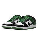 Кросівки Nike SB Dunk Low Classic Green BQ6817-302 Різнокольорові