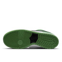 Кросівки Nike SB Dunk Low Classic Green BQ6817-302 Різнокольорові