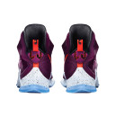 Кросівки Nike LeBron 13 Written In the Stars 807219-500 Фіолетовий
