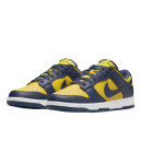 Кроссовки Nike Dunk Low Michigan DD1391-700 Разноцветные