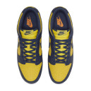 Кроссовки Nike Dunk Low Michigan DD1391-700 Разноцветные