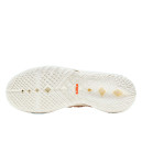 Кросівки Nike Lebron 18 Multi Animal Print CW3156-900 Різнокольорові