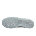Кросівки Nike Dunk Low Ice DO2326-001 Білий/сірий