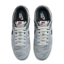 Кросівки Nike Dunk Low Copy Paste DQ5015-063 Сірий