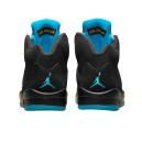 Кросівки Jordan 5 Retro Aqua DD0587-047 Різнокольорові