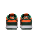 Кроссовки Nike Dunk Low Retro Miami Hurricanes DD1391-300 Разноцветные
