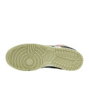 Кросівки Nike Dunk Low Community Garden CZ9747-900 Різнокольорові