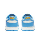 Кросівки Nike Dunk Low Coast DD1503-100 Блакитний