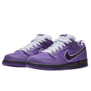 Кросівки Nike SB Dunk Low Concepts Purple Lobster BV1310-555 Фіолетовий