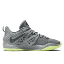 Кроссовки Nike KD 15 TB Wolf Grey DO9826-001 Серый