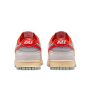 Кросівки Nike Dunk Low Athletic Department FJ5429-133 Різнокольорові
