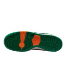 Кросівки Nike SB Dunk Low Phantom x Jarritos FD0860-001 Різнокольорові